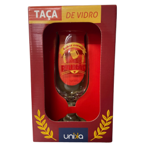 TAÇA VIDRO 300ML BEBER CERVEJA É MINHA PAIXÃO