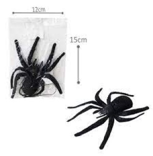 ARANHA CARANGUEJEIRA