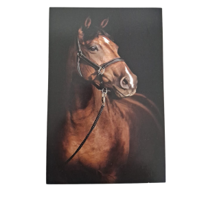 QUADRO DEC.MDF 20X30CM FRASE