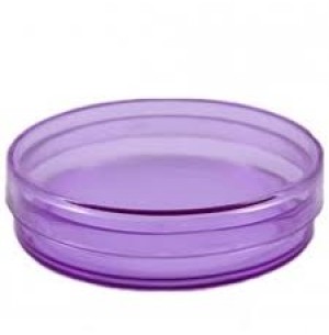 LATINHA ACRÍLICA 2CM 50 UNIDADES