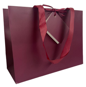 SACOLA PARA PRESENTE 28X28CM