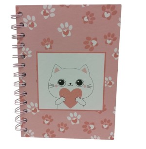 CADERNO ANOTAÇÃO ESPIRAL 13X17CM