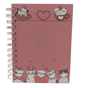 CADERNO ANOTAÇÃO ESPIRAL 13X17CM