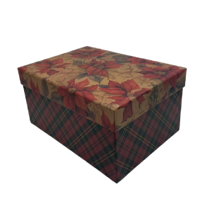 CAIXA PRESENTE RETANGULAR 27X20X13CM