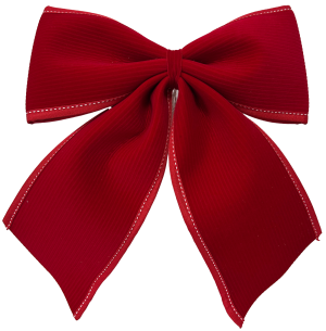ENFEITE LAÇO 25CM VELUDO VM