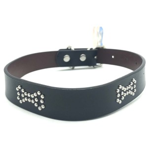 COLEIRA PARA CACHORRO