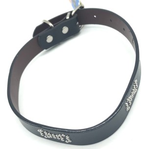 COLEIRA PARA CACHORRO