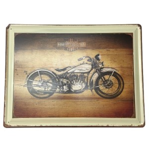 QUADRO DECORATIVO METAL 40X30CM